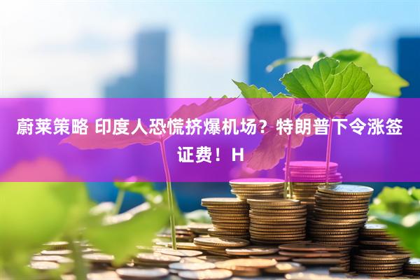 蔚莱策略 印度人恐慌挤爆机场？特朗普下令涨签证费！H