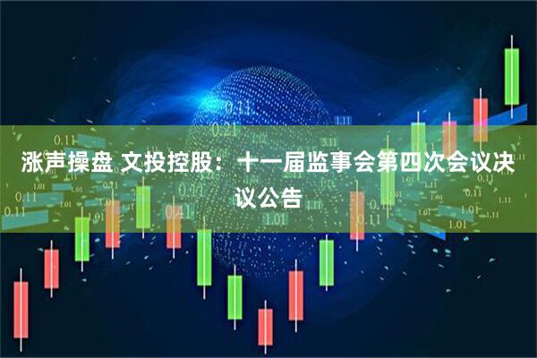 涨声操盘 文投控股：十一届监事会第四次会议决议公告