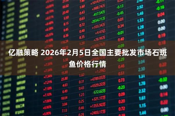 亿融策略 2026年2月5日全国主要批发市场石斑鱼价格行情